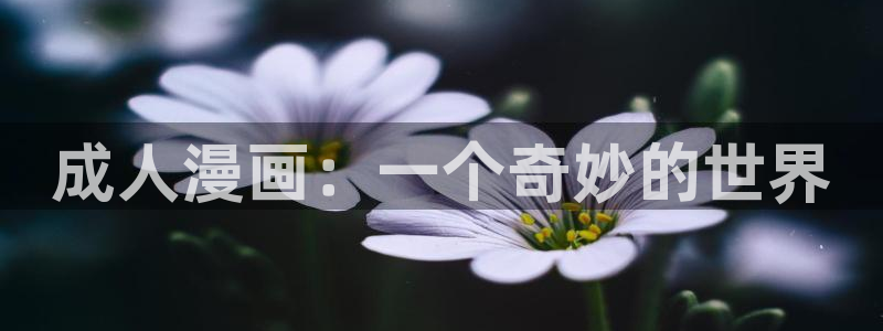 51漫画网app下载：成人漫画：一个奇妙的世界