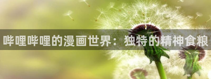 51漫画ap p入口：哔哩哔哩的漫画世界：独特的精神食粮