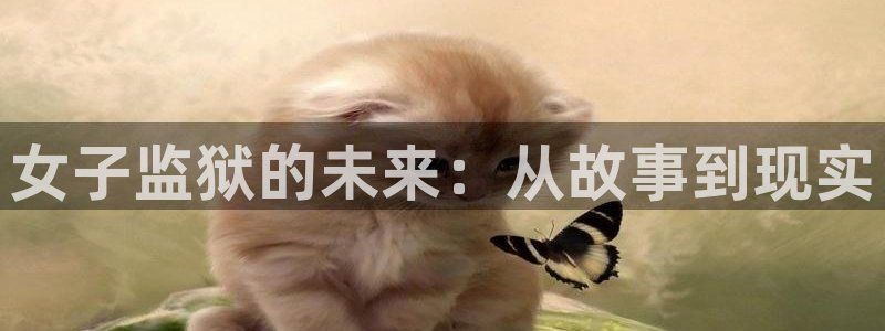 虫虫漫画51漫画网