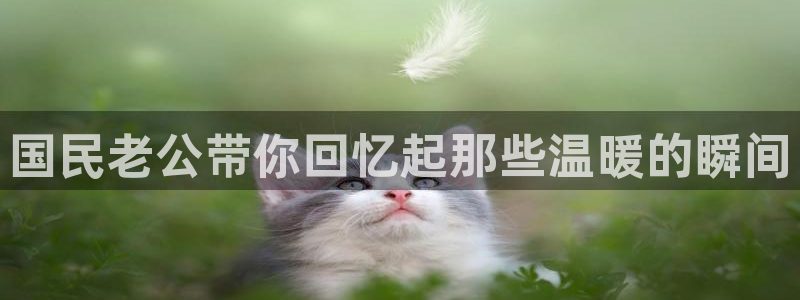 51漫画官网版动漫