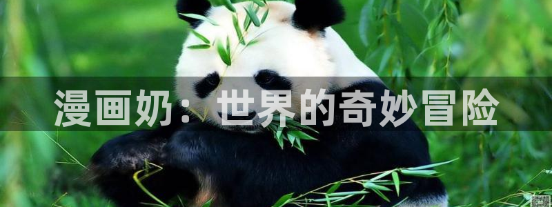 51漫画在线入口