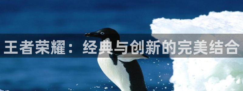 51漫画新版本：王者荣耀：经典与创新的完美结合