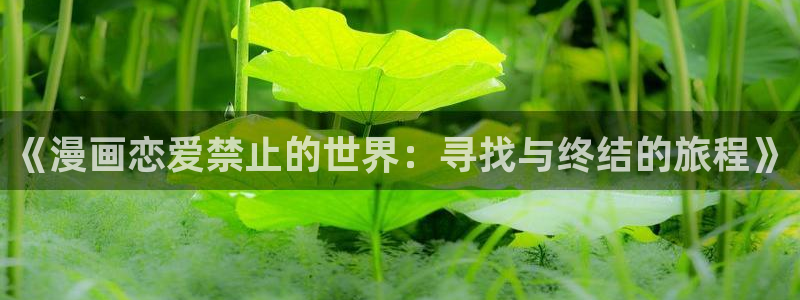 51漫画网页版官网首页：《漫画恋爱禁止的世界：寻找与终结的旅程》